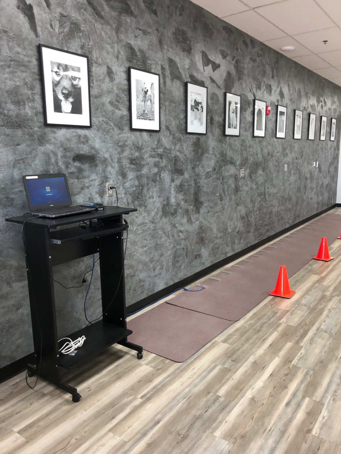 gait mat system