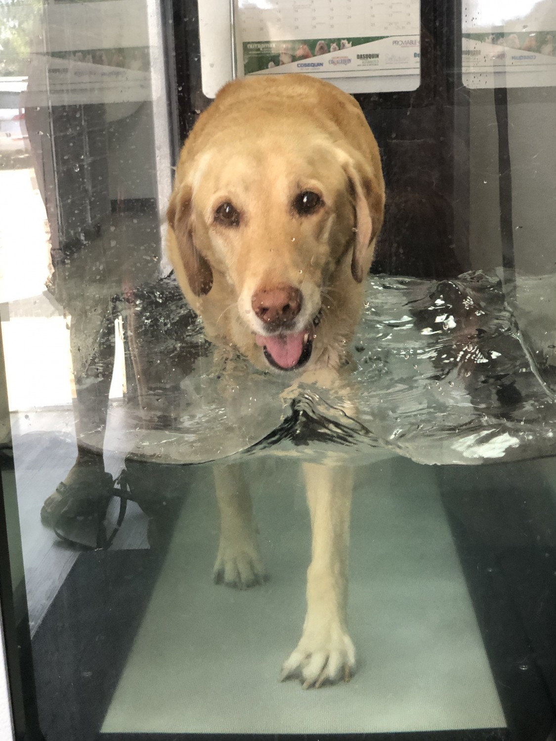 Hydrotherapy