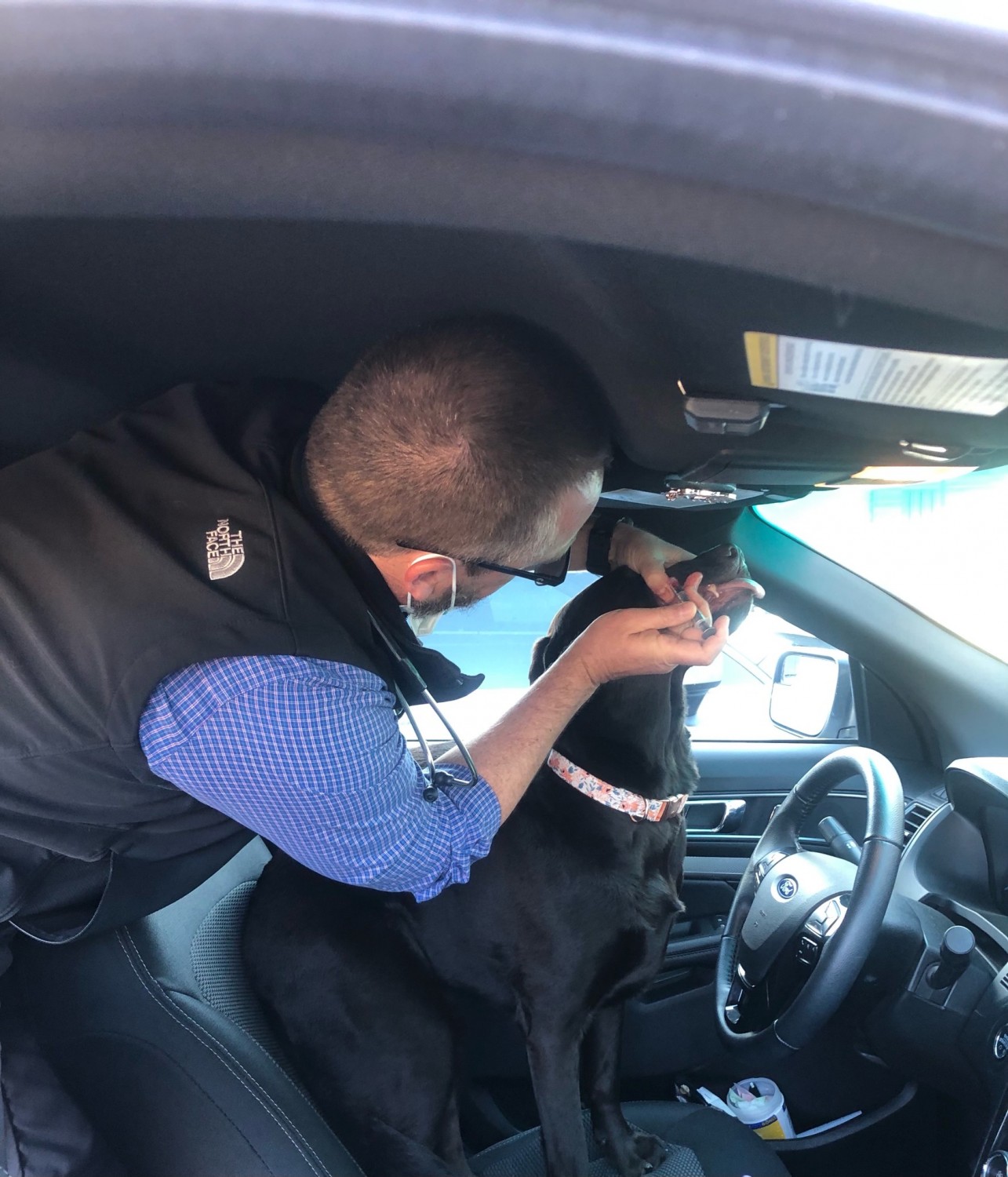 If the pet is fearful or hesitant, Dr. Landry will go out to the car